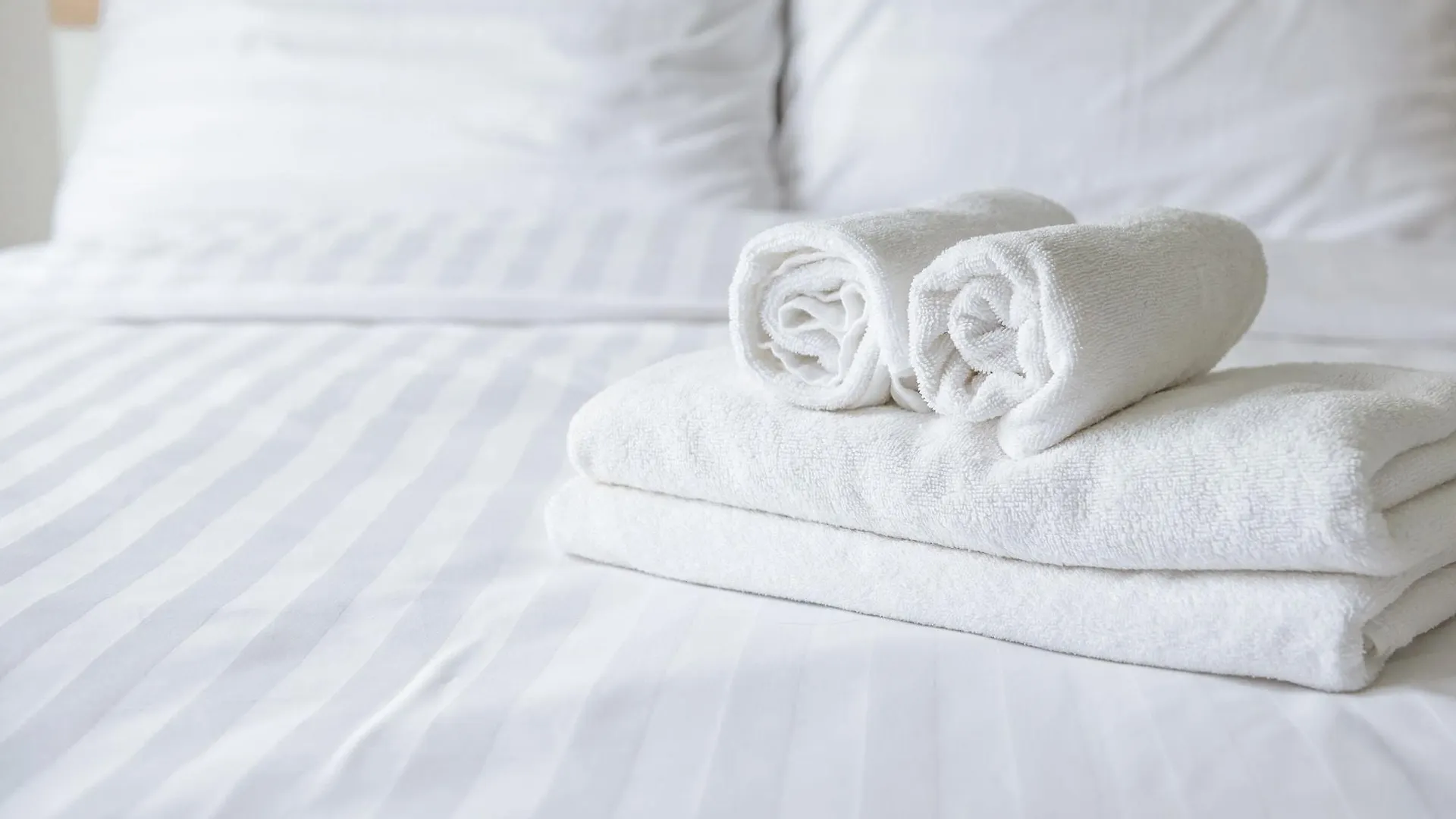 Embassy Suites By Hilton Tampa Airport Westshore Hotel
