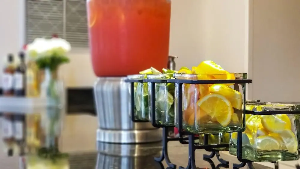 Embassy Suites By Hilton Tampa Airport Westshore