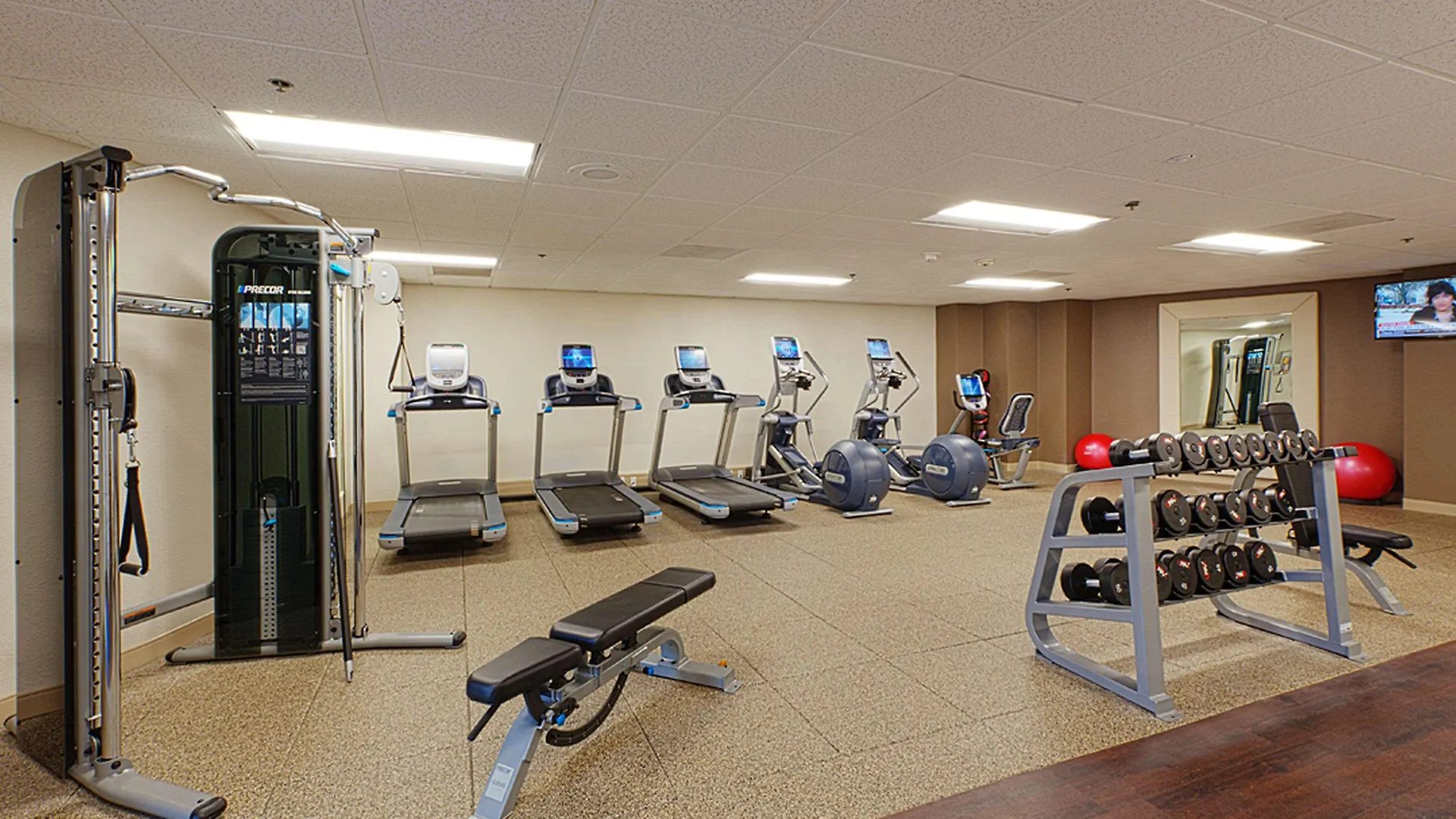 Embassy Suites By Hilton Tampa Airport Westshore Hotel